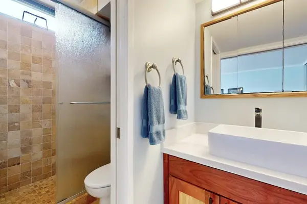 Ensuite bathroom with a walk-in shower