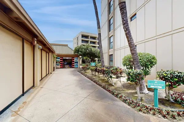 Peaceful resort walkway lined with tropical gardens
