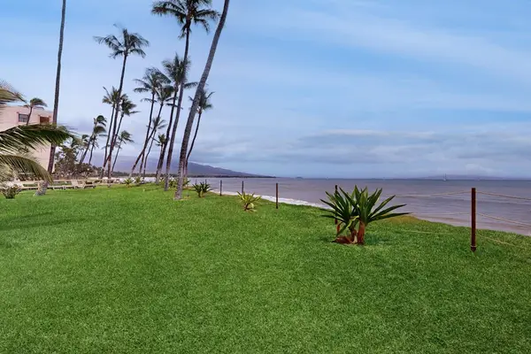 Expansive lawn overlooking the Pacific Ocean
