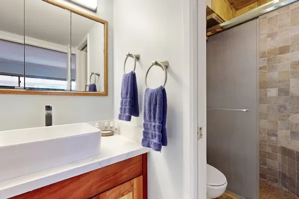 Modern ensuite bathroom with stylish finishes