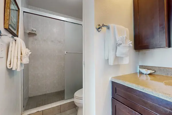Walk-In Shower With Modern Finishes