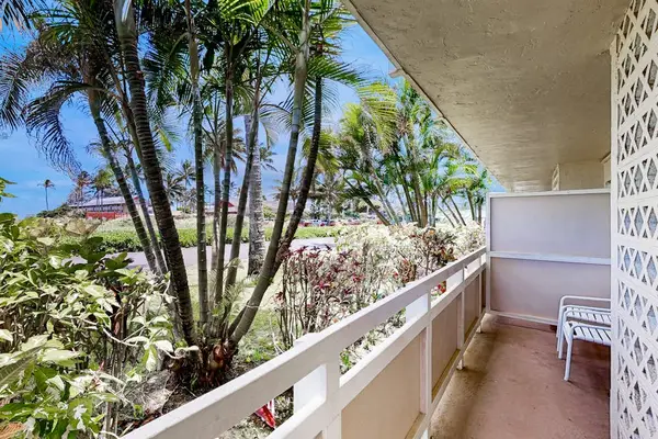 Breezy Balcony Surrounded By Palms