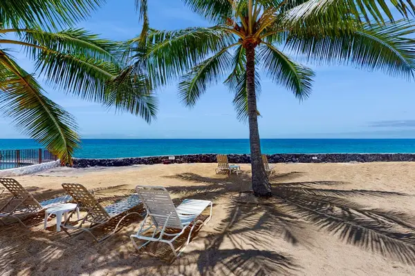 Palm-Lined Beach with Relaxing Ocean Views ⭐⭐⭐
