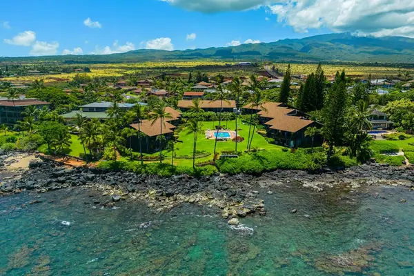 Paradise Starts Here
