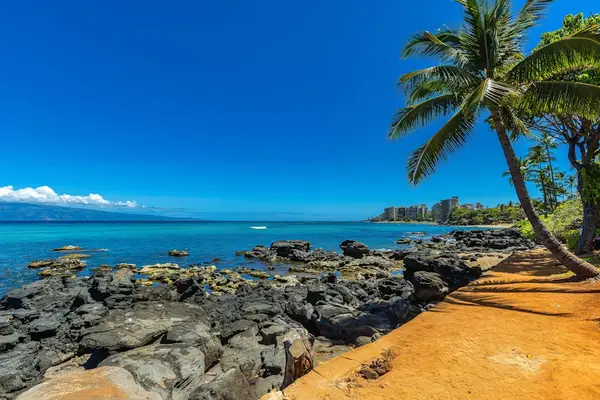 Oceanfront living on 's sunny south shore