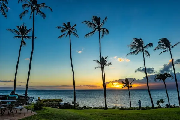 Tropical beauty surrounds every corner of the resort