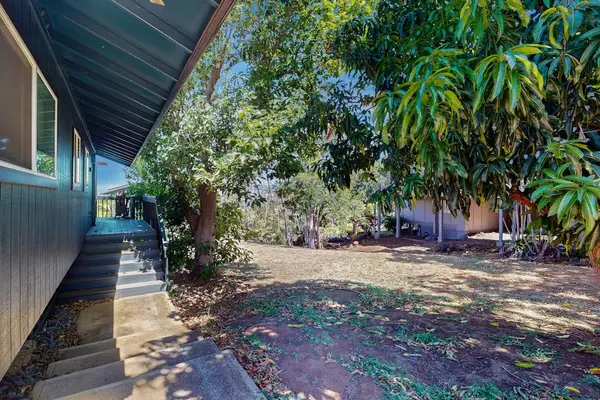 Private Yard With Tropical Greenery