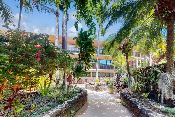 Tropical pathways leading through the resort