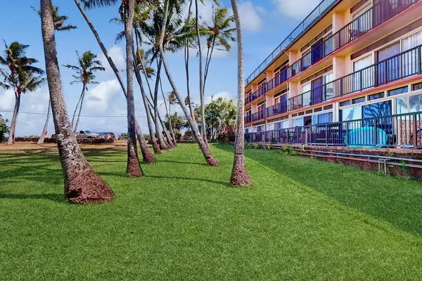 Oceanfront lawn with swaying palm trees