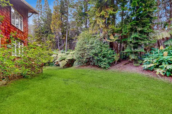 Spacious backyard surrounded by peaceful forest