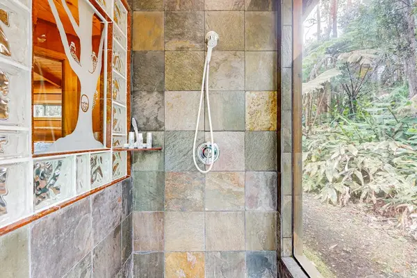 Walk-in shower with peaceful forest views