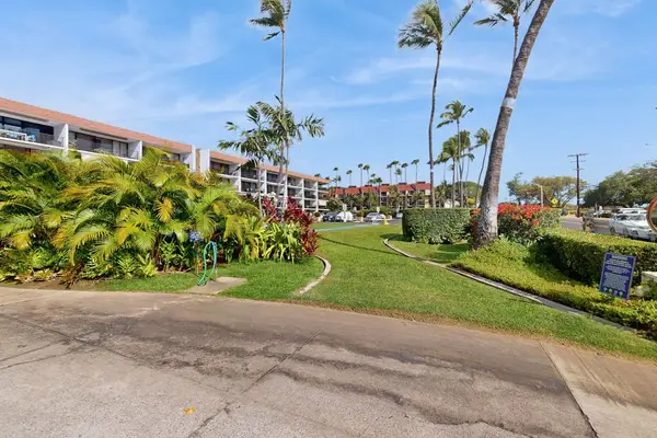 Beautifully Landscaped Resort Grounds & Palm Trees