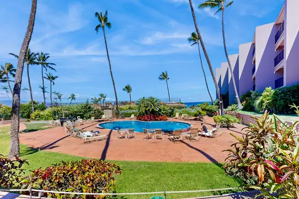 Resort Style Pool With Tropical Gardens
