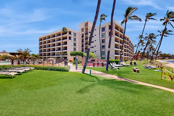 Lush Tropical Resort Grounds