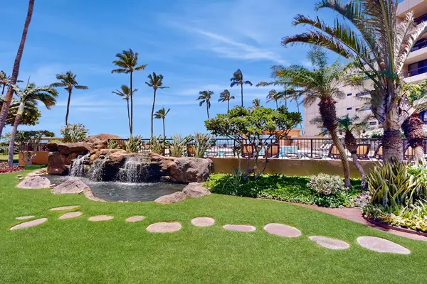 Tropical Courtyard Paradise