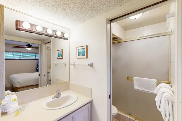 Fresh And Modern Spa Bathroom