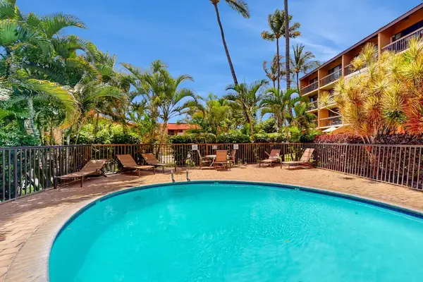 Tropical Pool Oasis Surrounded By Palms