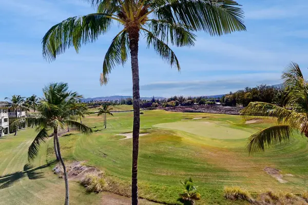 Scenic Golf Course Views with Ocean Horizon & Palm Trees