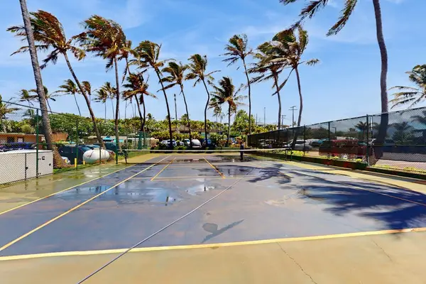 On-Site Sports Court Nestled Among Swaying Palms