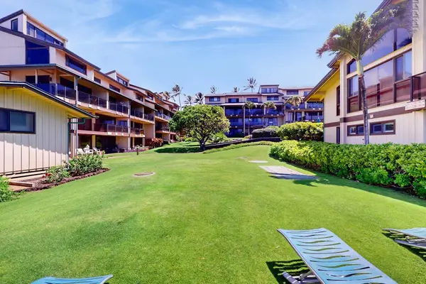 Sun-Drenched Courtyard Lawn Perfect For Unwinding