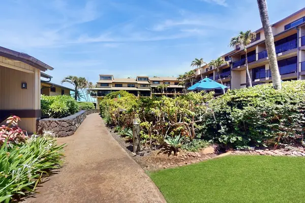 Picturesque Pathway Winding Through Vibrant Botanical Gardens