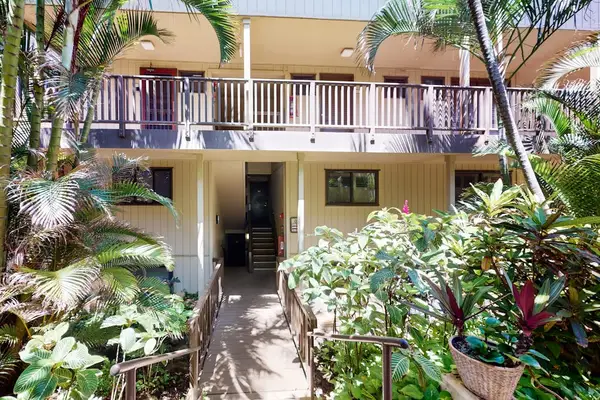 Welcoming Tropical Entryway Framed By Lush Paradise Flora