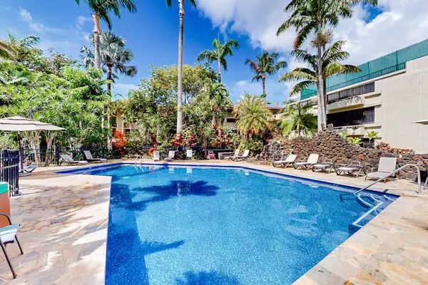 Resort Pool Surrounded By Palms