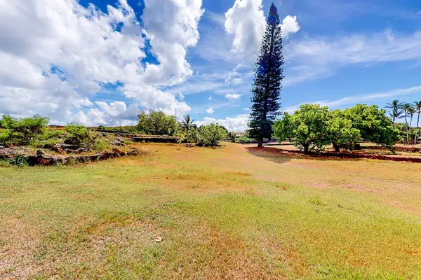 Expansive Oceanfront Lawn