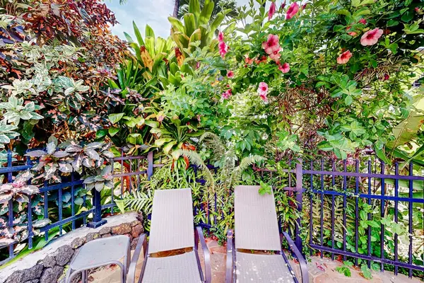 Tropical Lounge Beside The Pool