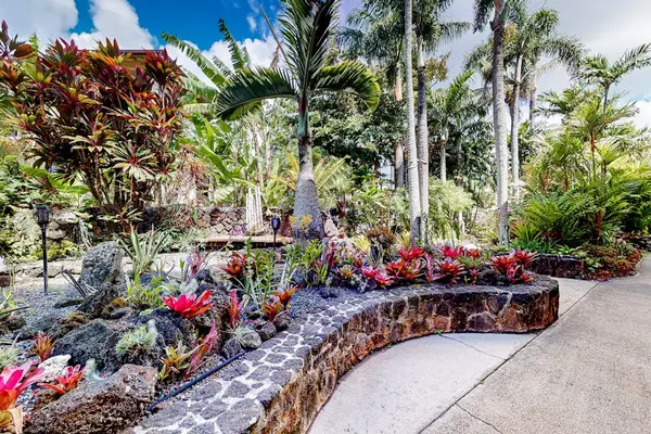 Lush Tropical Garden Pathways