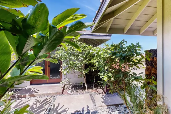 Tropical Garden Walkway Framed by Lush Greenery & Stone Pavers
