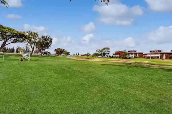 Expansive Lush Green Space To Explore