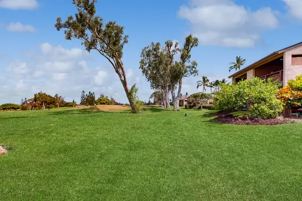 Open Lawn Surrounded By Island Beauty