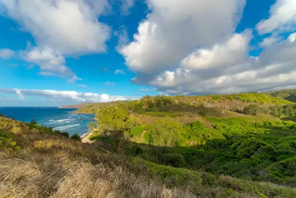 Beautiful view of the surroundings and the forests