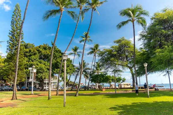 The perfect place to run and stay active