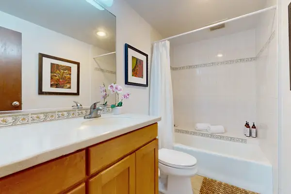 Bright full bathroom with a shower and bathtub