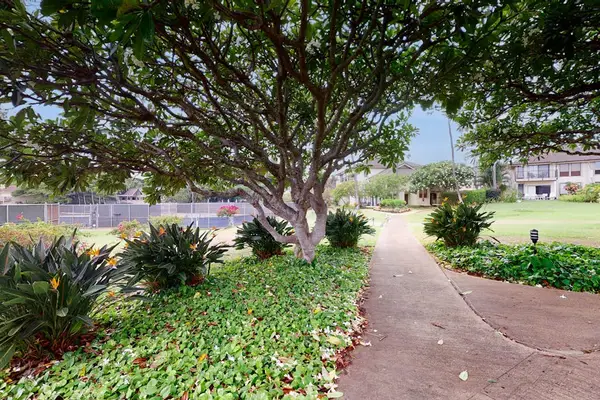 Peaceful garden path shaded by mature trees