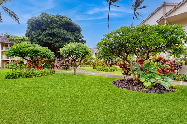 Lush Tropical Lawn Right Outside Your Door