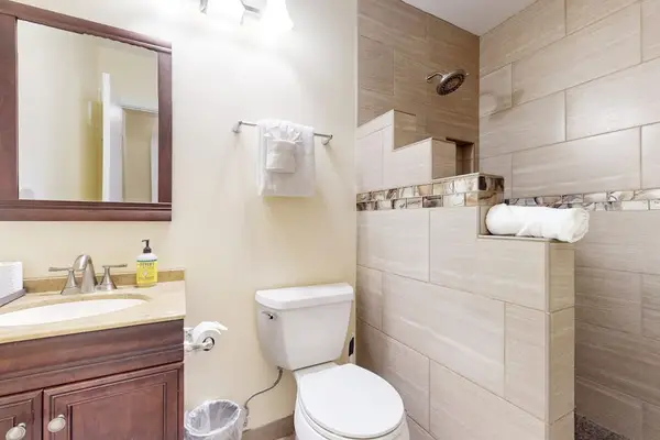Spa-Inspired Full Bathroom