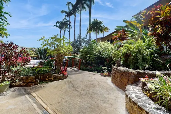 Palm Lined Garden Walkways