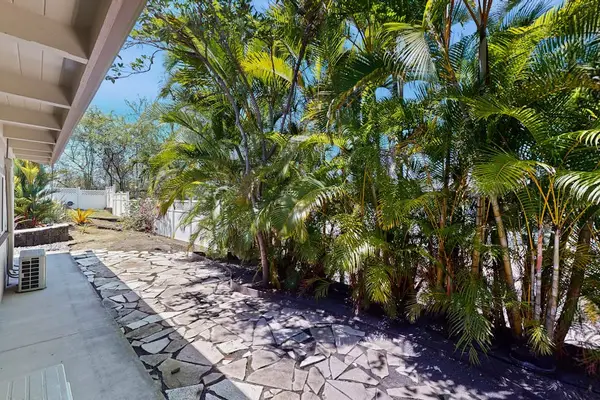 Lush Tropical Garden Path