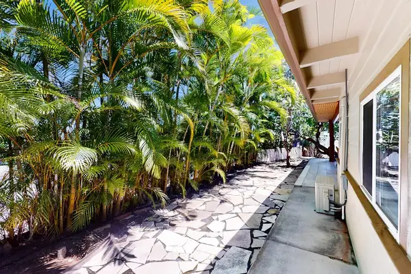 Serene Tropical Walkway