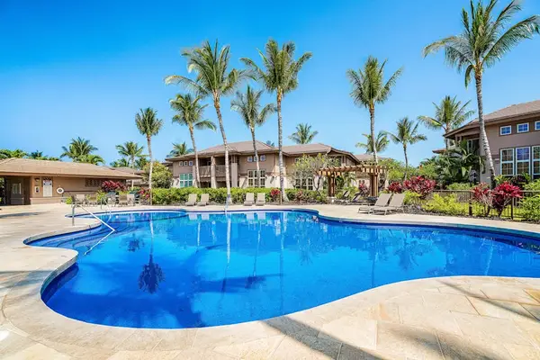 Resort-Style Lagoon Pool Under Soaring Palms