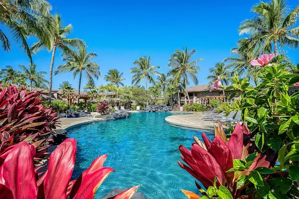Tropical Pathway Leading To Refreshing Waters