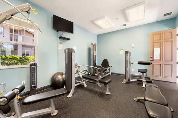 Modern On-Site Gym To Stay Active On Vacation