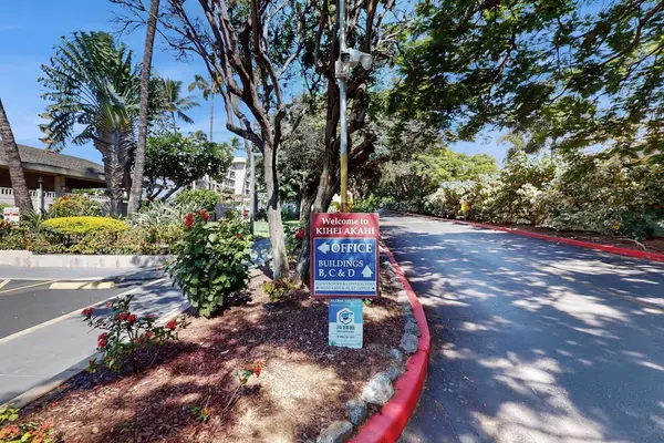 Scenic Drive Leading To Paradise