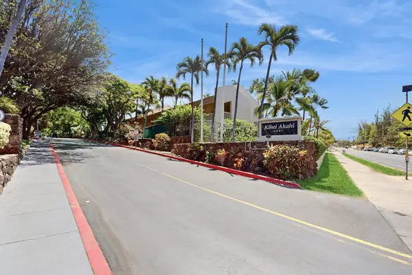 Palm-Lined Entrance To Paradise