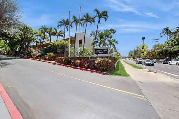 Scenic Arrival Through Swaying Palms