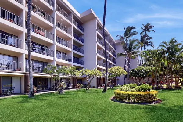 Beautiful Resort Surrounded By Palms
