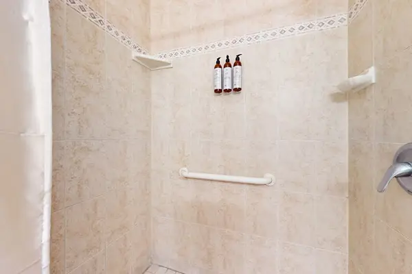 Walk-In Shower With Fresh Finishes